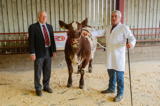 Longtown Mart Pedigree Beef Shorthorn Breeding Females and Bulls 26-8-2019 - Overall Champion lot 18 sold for 2600 gns Heifer from Thomson Roddick and Laurie-3
